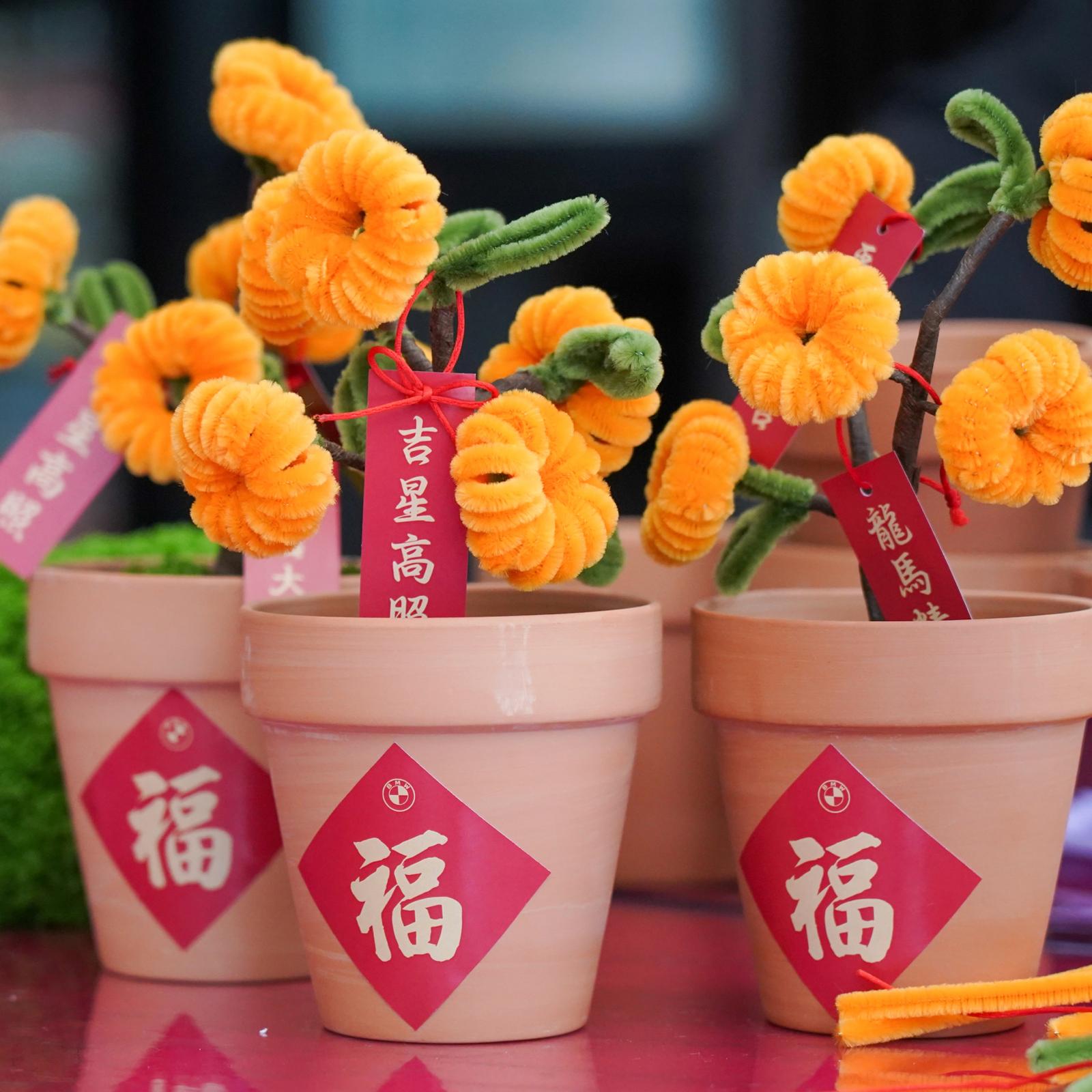 香港活動服務現場相片 chinese new year pipe cleaner bonsasi workshop hong kong